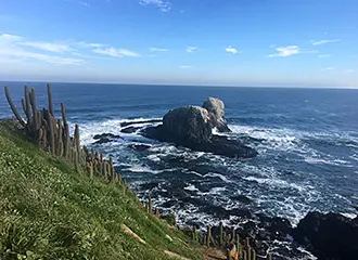 Paisaje de Punta de Lobos publicado en el sitio original