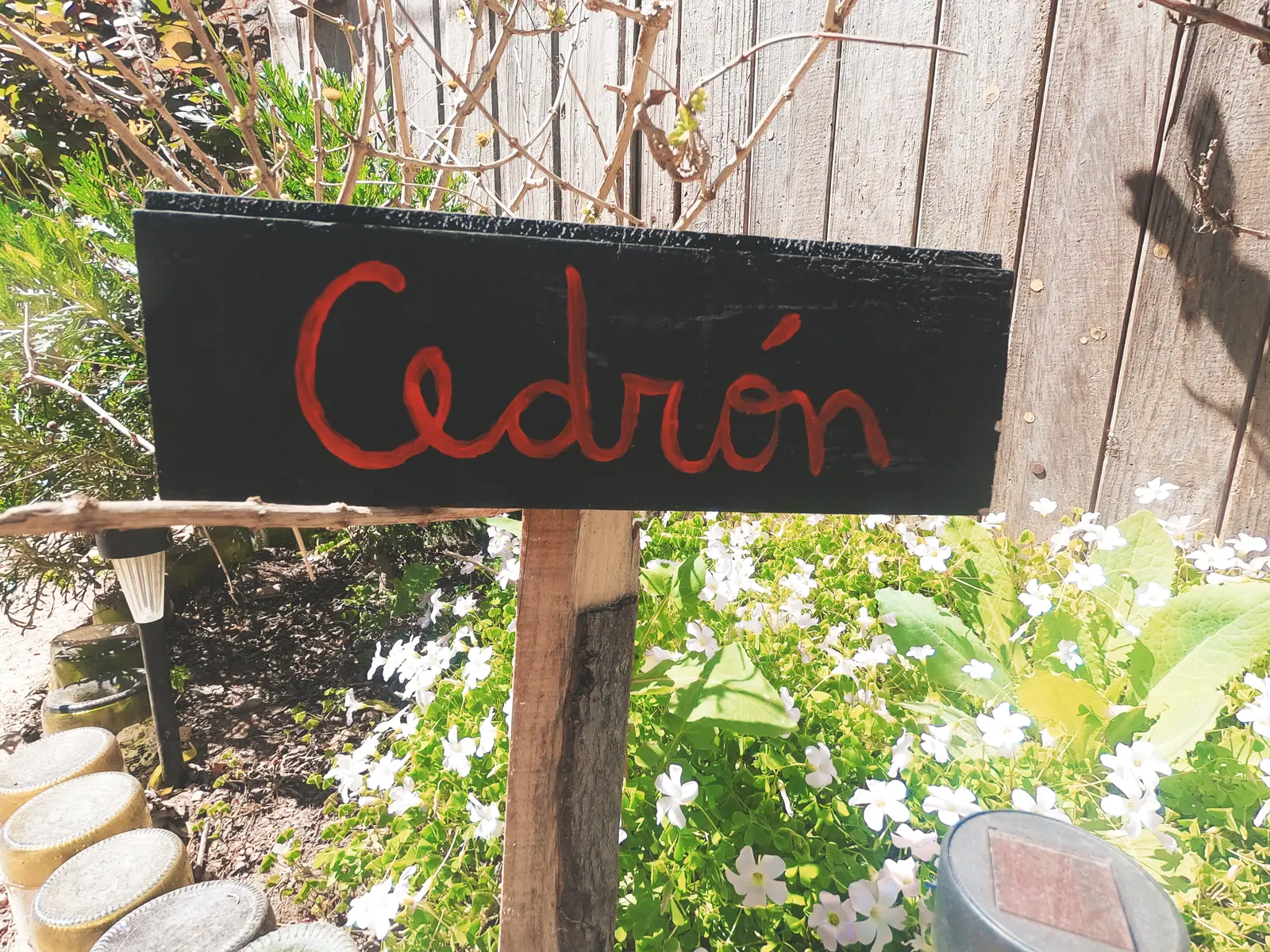 Vegetación y pequeños detalles del jardín de Los Rukos